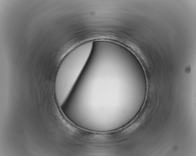 X0000090720985200707201010