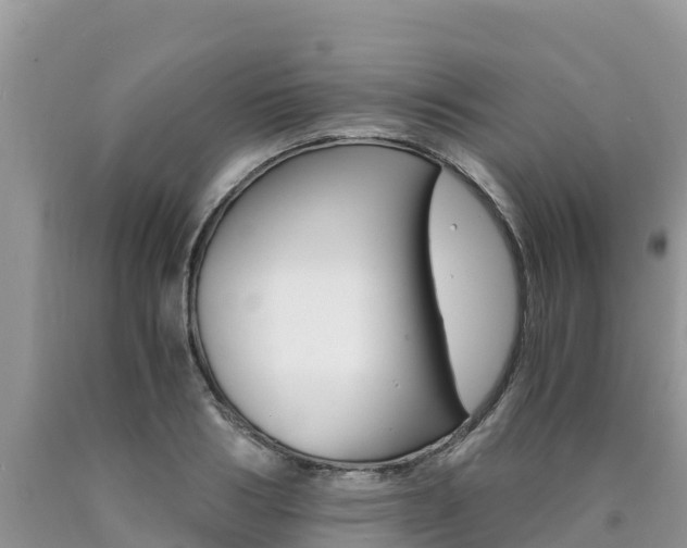 X0000090720986200707201010