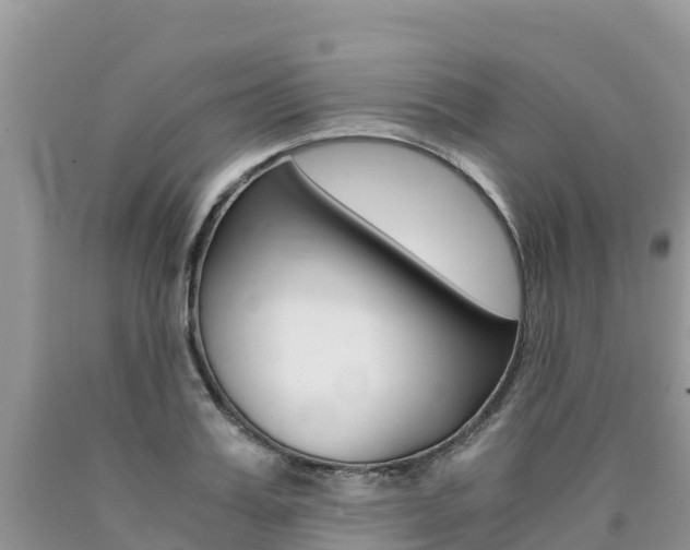 X0000090720987200707201010