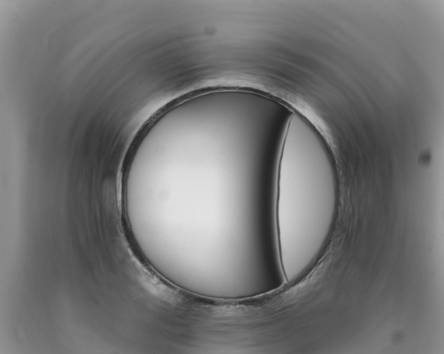 X0000090720988200707201010