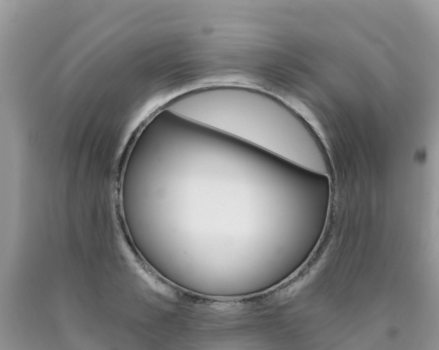 X0000090720989200707201010