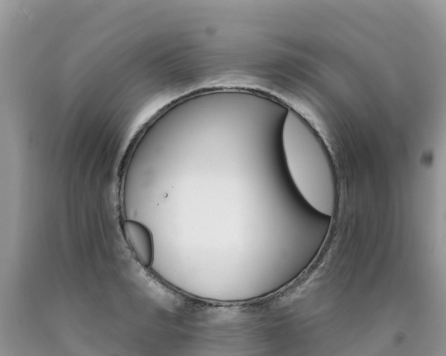 X0000090720990200707201010
