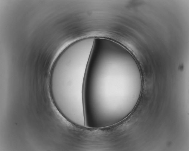 X0000090720992200707201010