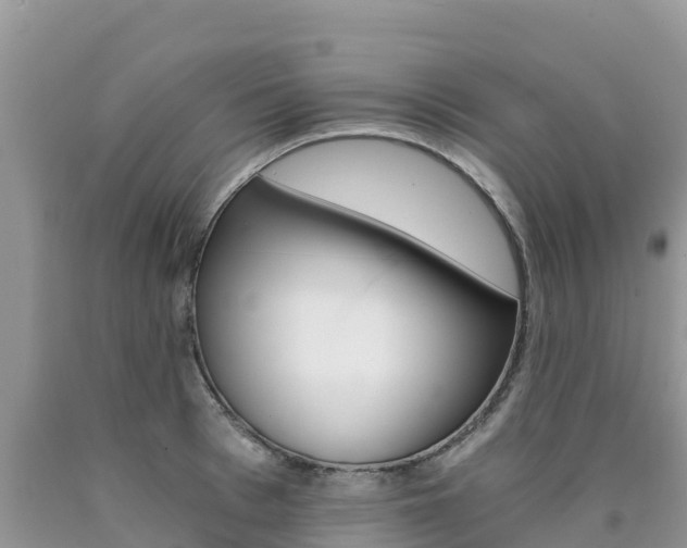 X0000090720993200707201010