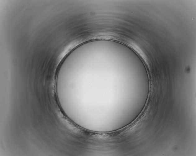 X0000090720994200707201010