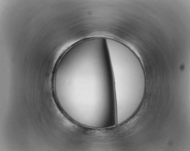 X0000090720995200707201010