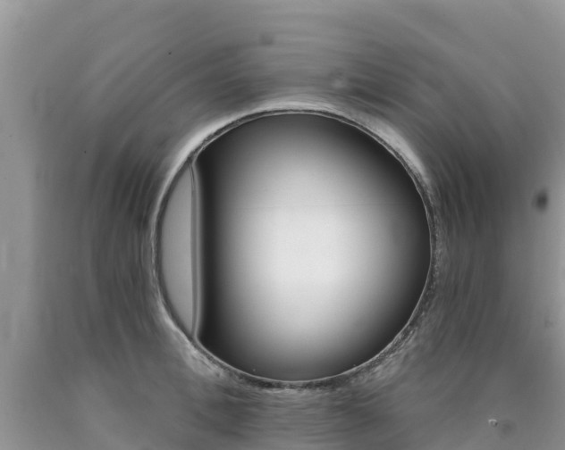 X0000090720996200707201009