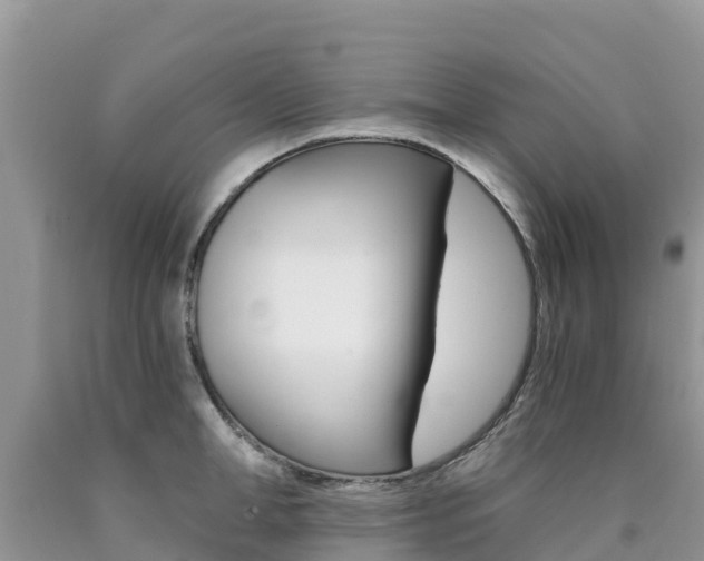 X0000090720998200707201009