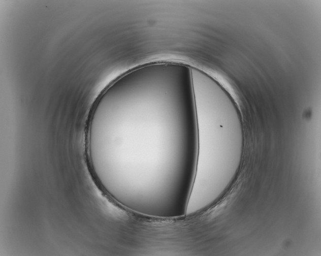 X0000090720999200707201009