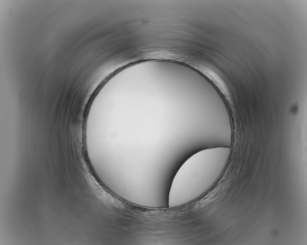 X0000090721000200707201009