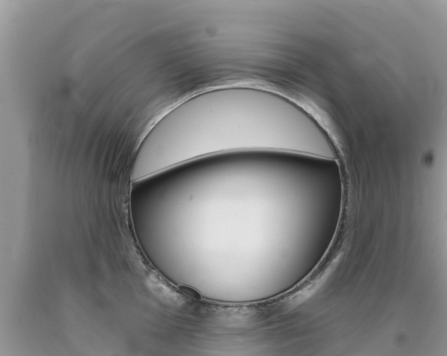 X0000090721001200707201009