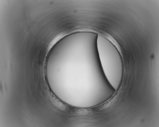 X0000090721002200707201009