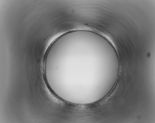 X0000090721003200707201009