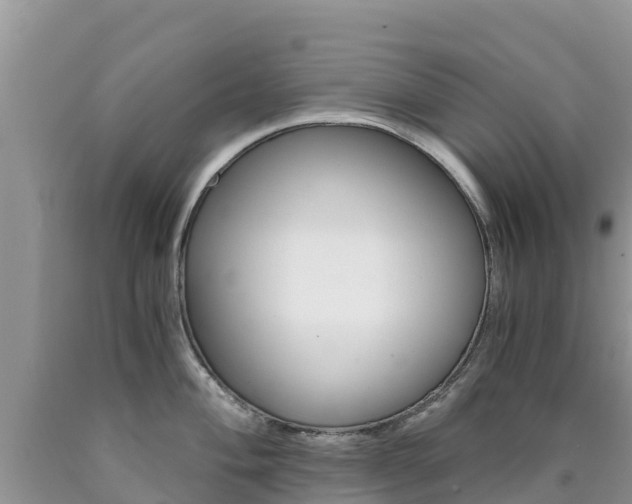 X0000090721004200707201009