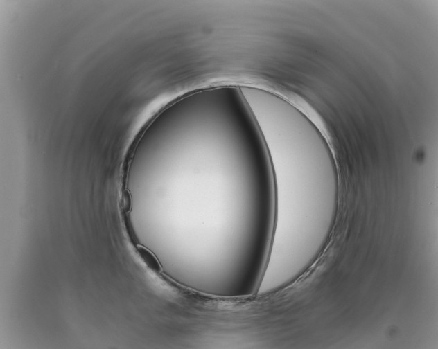 X0000090721005200707201009