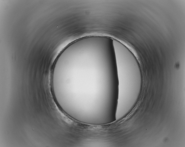 X0000090721006200707201009
