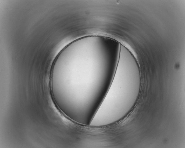 X0000090721007200707201009