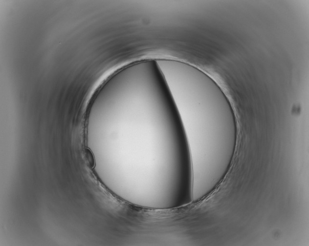 X0000090721008200707201009