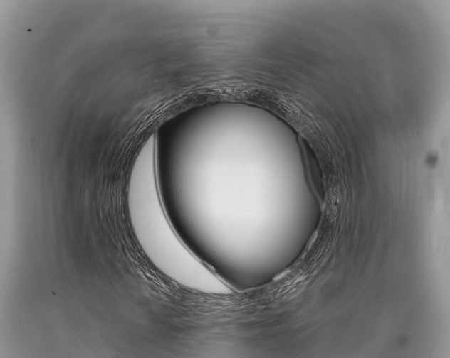 X0000090721010200707201009