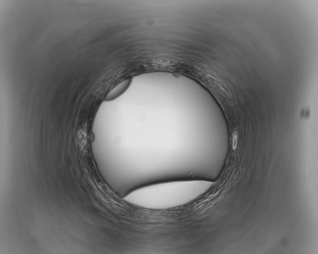 X0000090721011200707201009