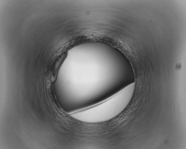 X0000090721012200707201009