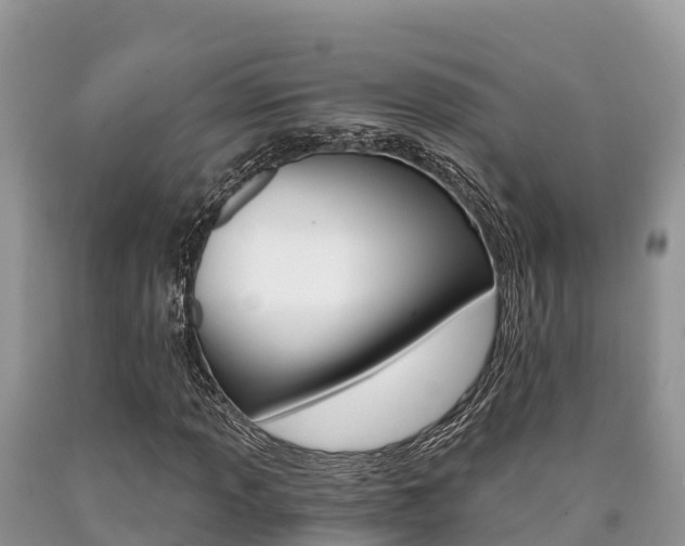 X0000090721013200707201009
