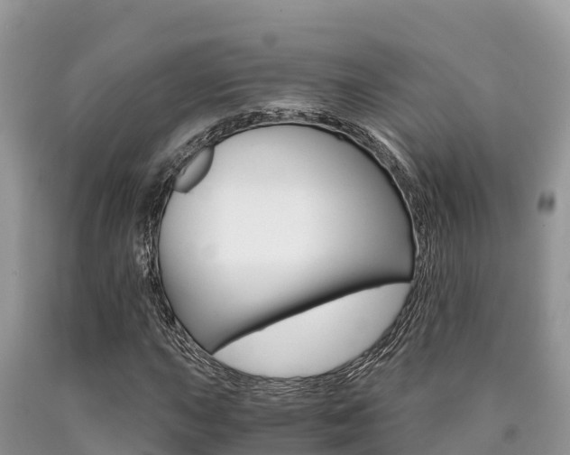 X0000090721015200707201009