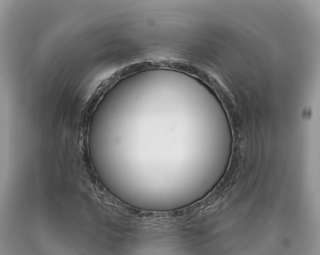X0000090721016200707201009
