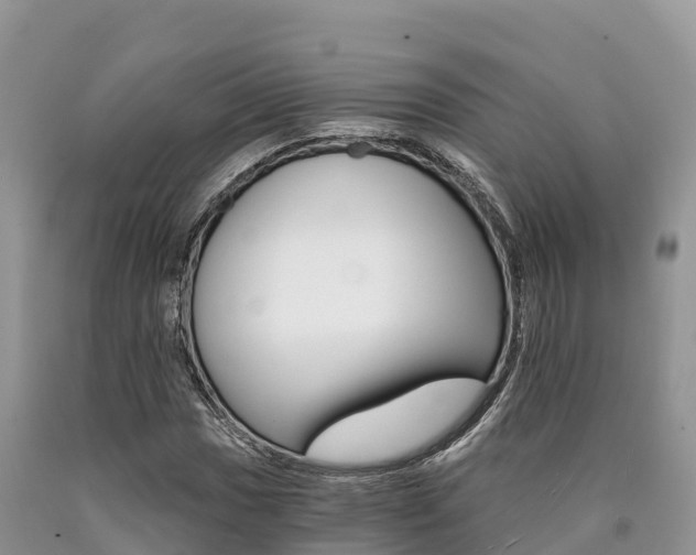 X0000090721017200707201009