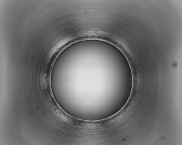 X0000090721018200707201009