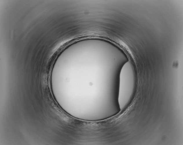 X0000090721019200707201009