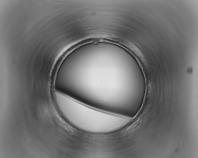 X0000090721020200707201009