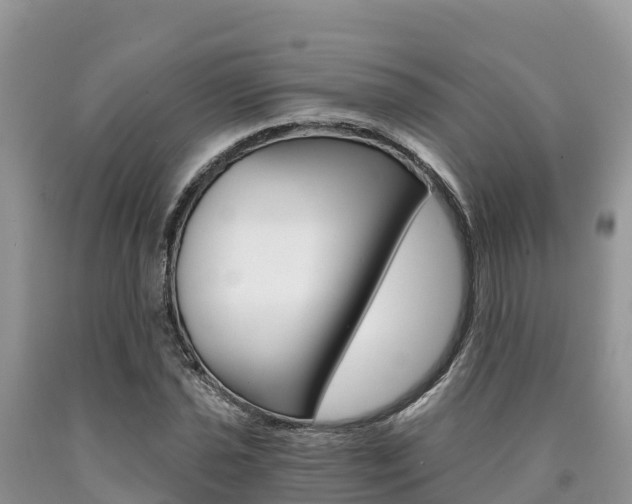 X0000090721021200707201009