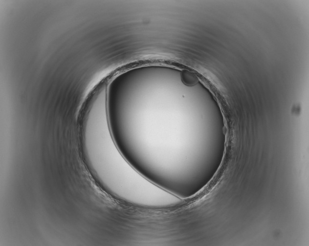 X0000090721022200707201009