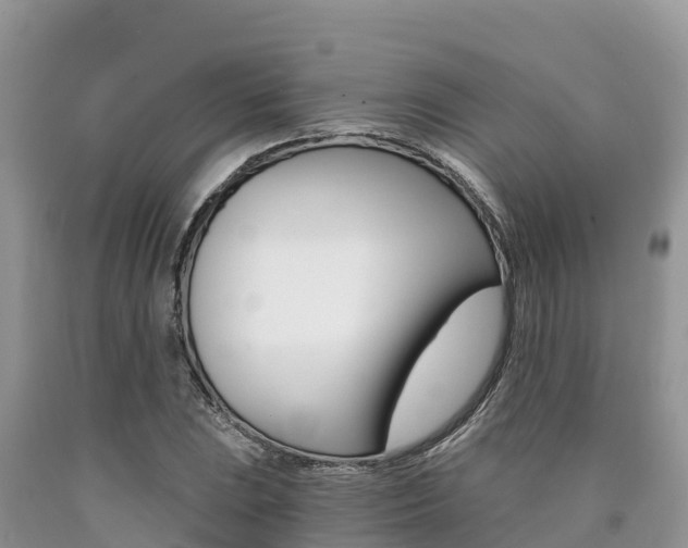 X0000090721023200707201009