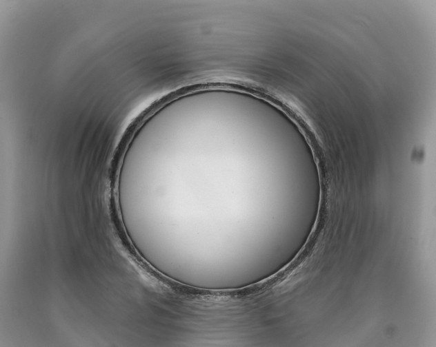 X0000090721024200707201009