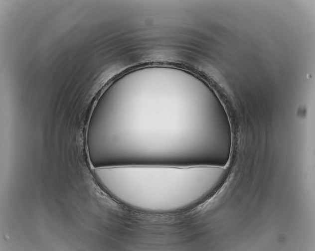 X0000090721025200707201009