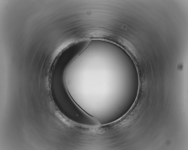 X0000090721026200707201009