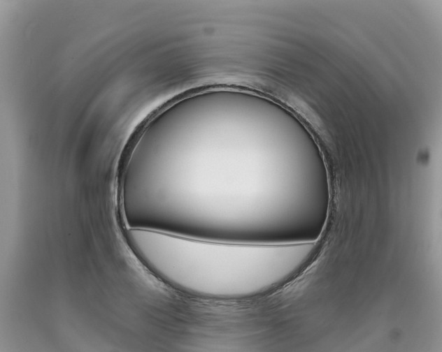 X0000090721028200707201009