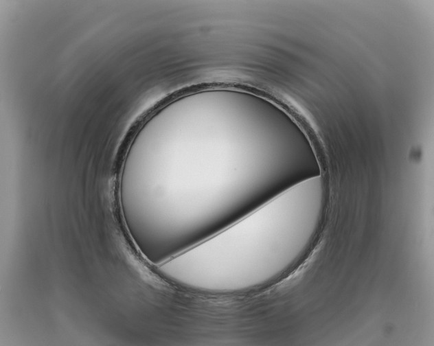 X0000090721029200707201009