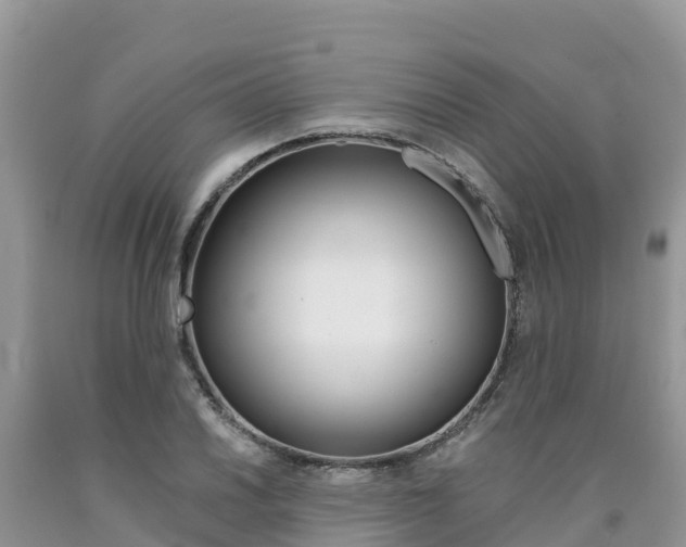 X0000090721030200707201009