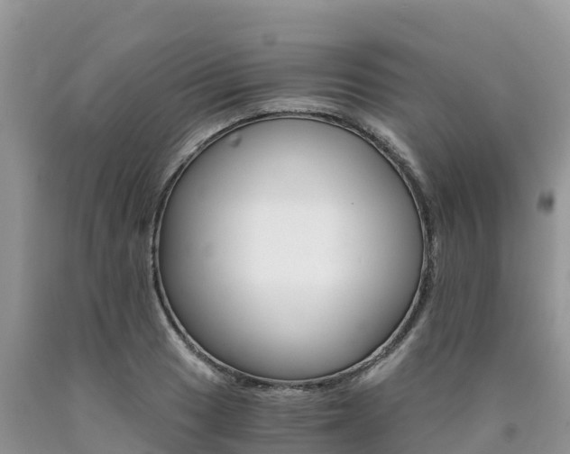 X0000090721033200707201009