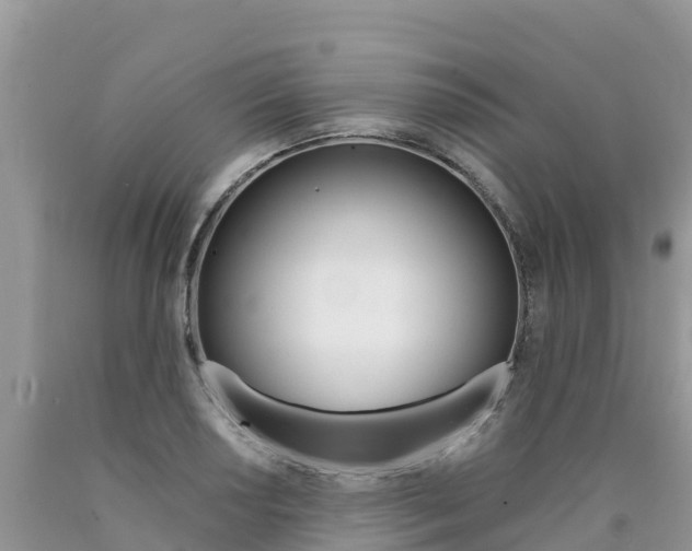 X0000090721034200707201009
