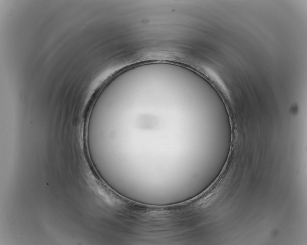 X0000090721035200707201009