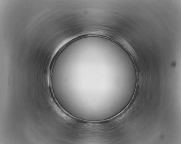 X0000090721036200707201009