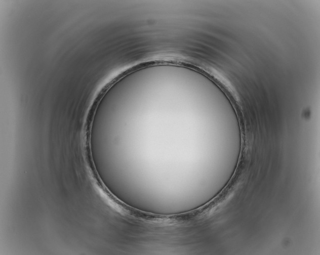 X0000090721037200707201009