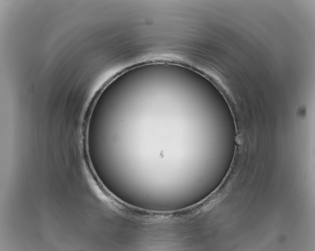 X0000090721038200707201009