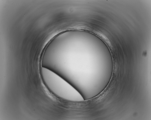 X0000090721039200707201009
