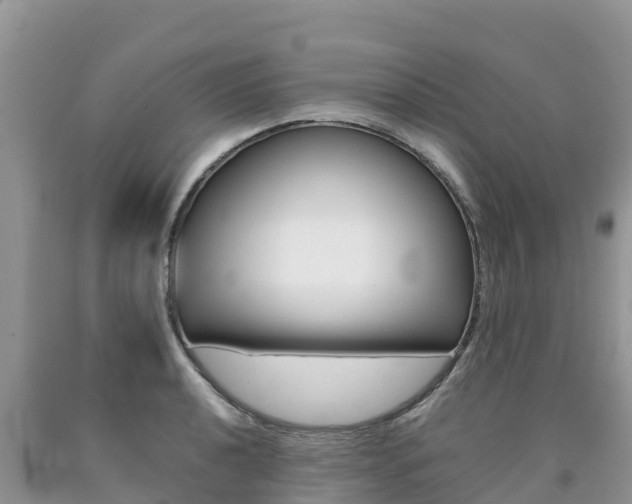 X0000090721040200707201009