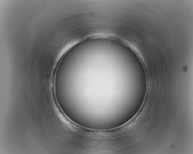 X0000090721042200707201009